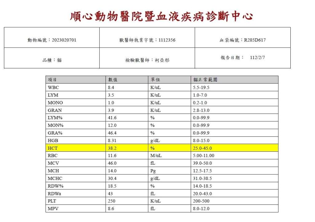 貓咪血檢報告